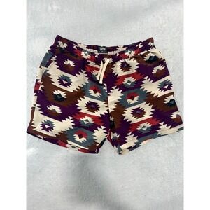 Super Massive Mens Southwestern Geometric Print Shorts Purple Brown Large